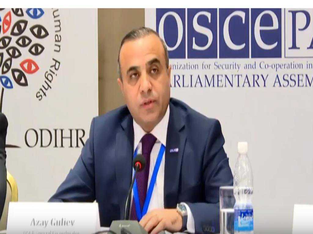 Remarks by Azay Guliyev, Special Co-ordinator and Leader of the short-term OSCE observer mission